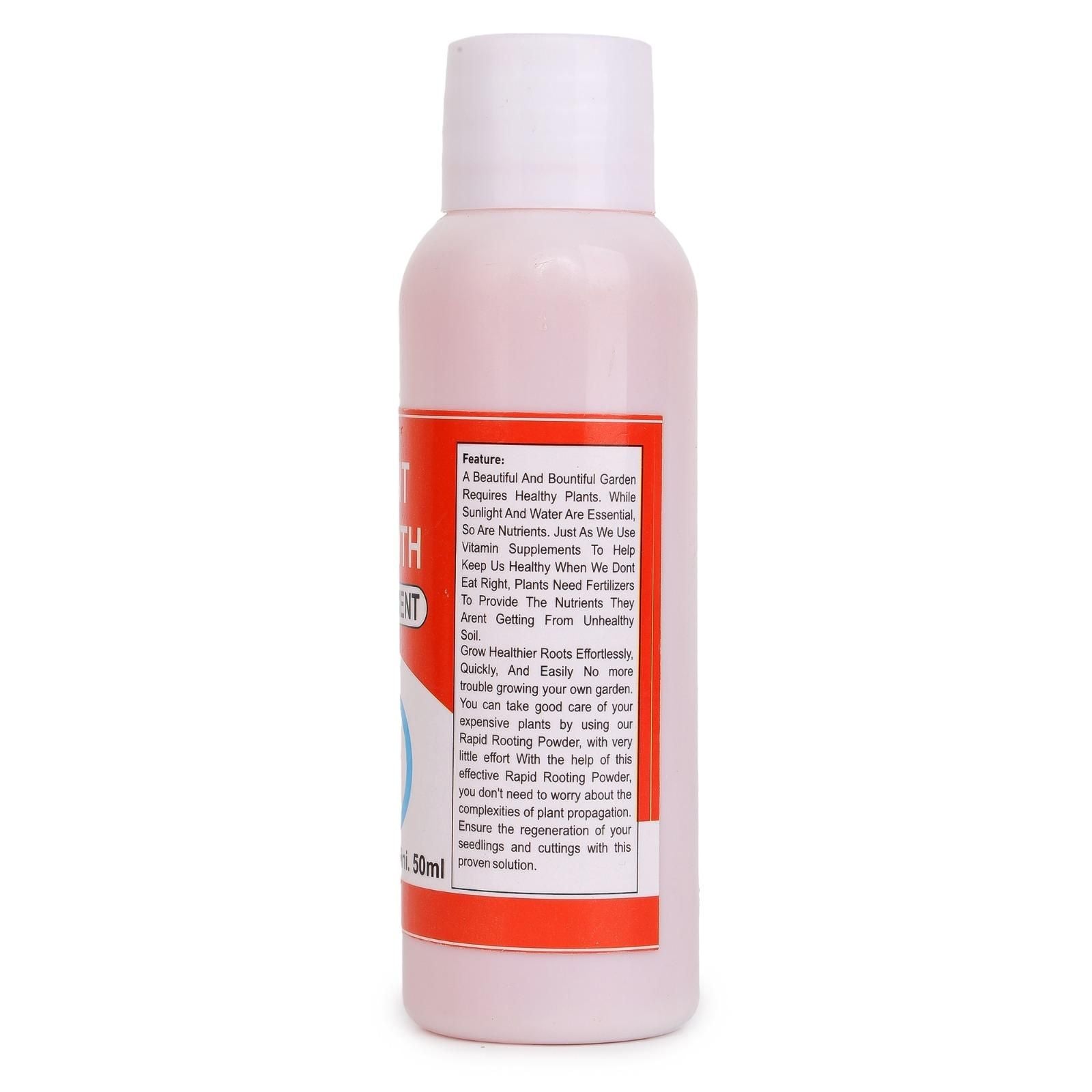 Elegant Climbing Rose Flower Seeds